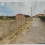 ‘As árvores que quebram as cidades’ é a primeira exposição do bracarense Francisco Gaspar