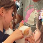 Secundária de Vila Verde acolheu concurso de leitura, envolvendo todos os níveis de ensino escolar do concelho