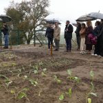 Braga celebra o 25 de Abril com programação cultural e participativa