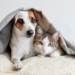 Vila Verde com dois candidatos do Bloco às legislativas