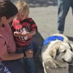 Lisboa tem os combustíveis mais caros do país, Santarém e Castelo Branco lideram entre os mais baratos