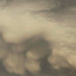 Valença coloca abrigos para gatos na cidade