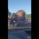 Desfasamento entre oferta e procura na compra de casa atinge os 67% a nível nacional