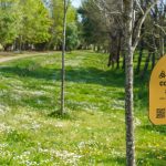 Jovem de 19 anos morto à facada em rixa à porta de bar em Braga