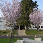 Comando Distrital da PSP de Braga assinala hoje o 148º aniversário