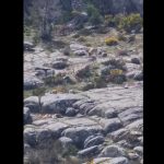 Somos Todos Capitães: a exposição cria uma programação paralela de cinema com os documentário