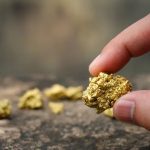 Chimpanzés tocam tambor ritmicamente e de diferentes formas