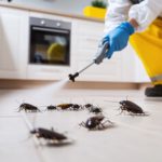 Perda de gordura abdominal? Eis as melhores fontes de gordura saudáveis