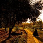 Praia do Alqueirão distinguida com o galardão “Qualidade de Ouro 2025”