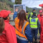 Jovem agride polícias após acidente em Famalicão. Tinha carta apreendida