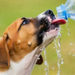 Bill Ryder-Jones no Theatro Circo para data única em Portugal