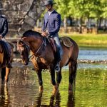 CIM Alto Minho promove sessão do AgroSocial Lab para debater sustentabilidade e inovação no setor agroalimentar