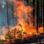 Incêndio em Ponte de Lima dominado e em resolução