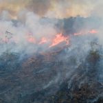 Festival 900 Anos de Foral nos dias 22 e 23 de agosto em Ponte de Lima