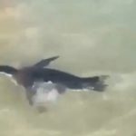 Luzes dos casinos podem aumentar comportamentos de risco dos jogadores