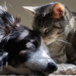 Cidadãos são desafiados a procurar a literatura fora dos livros