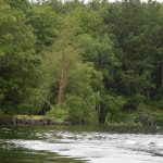 Tribunal trava ex-autarca de Vieira do Minho