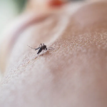 Mercado de quartos dispara em Portugal no arranque da época académica