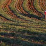 Incêndio em Arcos de Valdevez dado como dominado