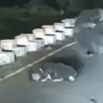 Homem disse que tinha “engenho explosivo” em navio. Acabou ‘borda fora’