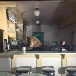 Homem espanca mulher que o confrontou por fumar no metro de Nova Iorque