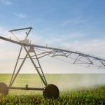 Biblioteca Municipal de Vila Verde recebe a inauguração da Exposição “Gaza é Aqui!” 