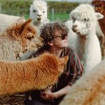 Diabetes não afeta só humanos e veterinária explica como detetar sinais em cães e gatos