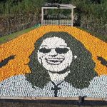 Reformado passa um mês preso após partilhar meme sobre morte de Kirk