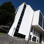 Um fim de ano sem sustos: como ajudar os animais a lidar com o ruído e os fogos de artifício