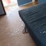 ULS do Alto Minho deu boas-vindas ao bebé 1.500 deste ano no sábado