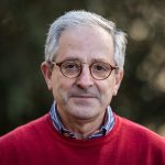 Mais de 30 netos e bisnetos surpreendem avó nos anos no Brasil