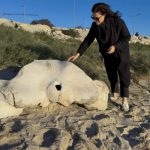 Sem chaminé, Pais Natais desceram pelo telhado à pediatria de Braga