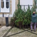 Alto Minho TREX distinguido com Menção Honrosa no Prémio Nacional de Resiliência da ANEPC