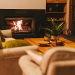 Os seus animais brincam em segurança? Como escolher brinquedos e acessórios adequados