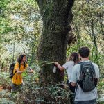 Incêndio destrói cobertura de casa de acolhimento de idosos na Póvoa de Lanhoso