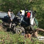 Valença assinalou Dia Mundial da Árvore com oferta de 900 Kits de sementes a alunos