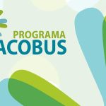 Valença reforça aposta no desporto infantil com atividade física em todos os Jardins de Infância