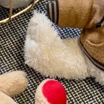 ECO.AP 2030 fortalece descarbonização da Administração Pública