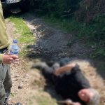 Nova construção ganha peso no mercado imobiliário em Portugal