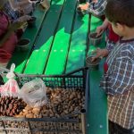 Câmara de Braga “está a preparar” projeto de reabilitação do Estádio 1.º Maio