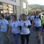 Turismo Literário nos Solares de Ponte de Lima: uma viagem literária entre  letras e linhagens