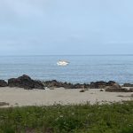 ANSR, GNR e PSP lançam primeira campanha dedicada aos utilizadores vulneráveis