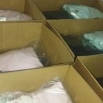 Gala dos Campeões distinguiu excelência da canoagem portuguesa