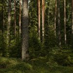 Vice-Presidente Executivo da Comissão Europeia em Portugal para debater o futuro da política de coesão