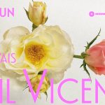 GNR recupera veículo furtado no distrito de Braga em menos de 24 horas