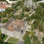 Seminário “Vespa velutina no Cávado” reuniu especialistas nacionais e internacionais em Barcelos
