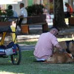 Calor: Hospital de Braga ativa nível 2 do plano de contingência