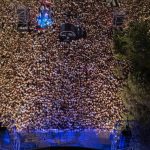 Resgatados quatro jovens na praia do Louriçal em Sintra