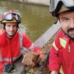 Homem morre a praticar mergulho recreativo ao largo de praia em Alvor