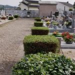 Famílias gastam 82% do salário na renda e 76% na compra de casa